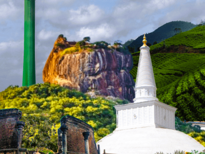 Untitled design (10)