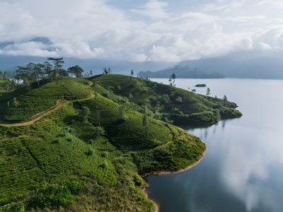 steptodown.com383169