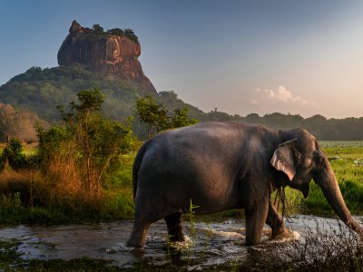 steptodown.com686146